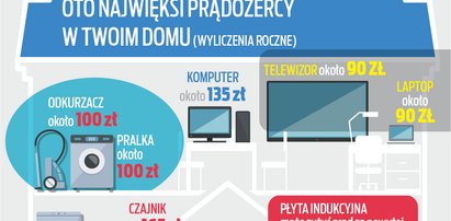 Podwyżki cen prądu - Oto najwięksi prądożercy w naszych domach