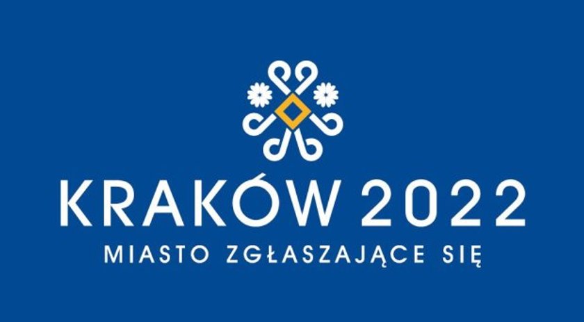 Logo za miliony? Podatnik frajer zapłaci