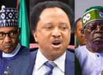 Shehu Sani alleges plot by northern politicians visiting Buhari to unseat Tinubu