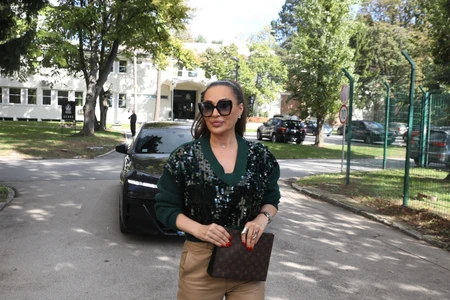 Ceca Ražnatović