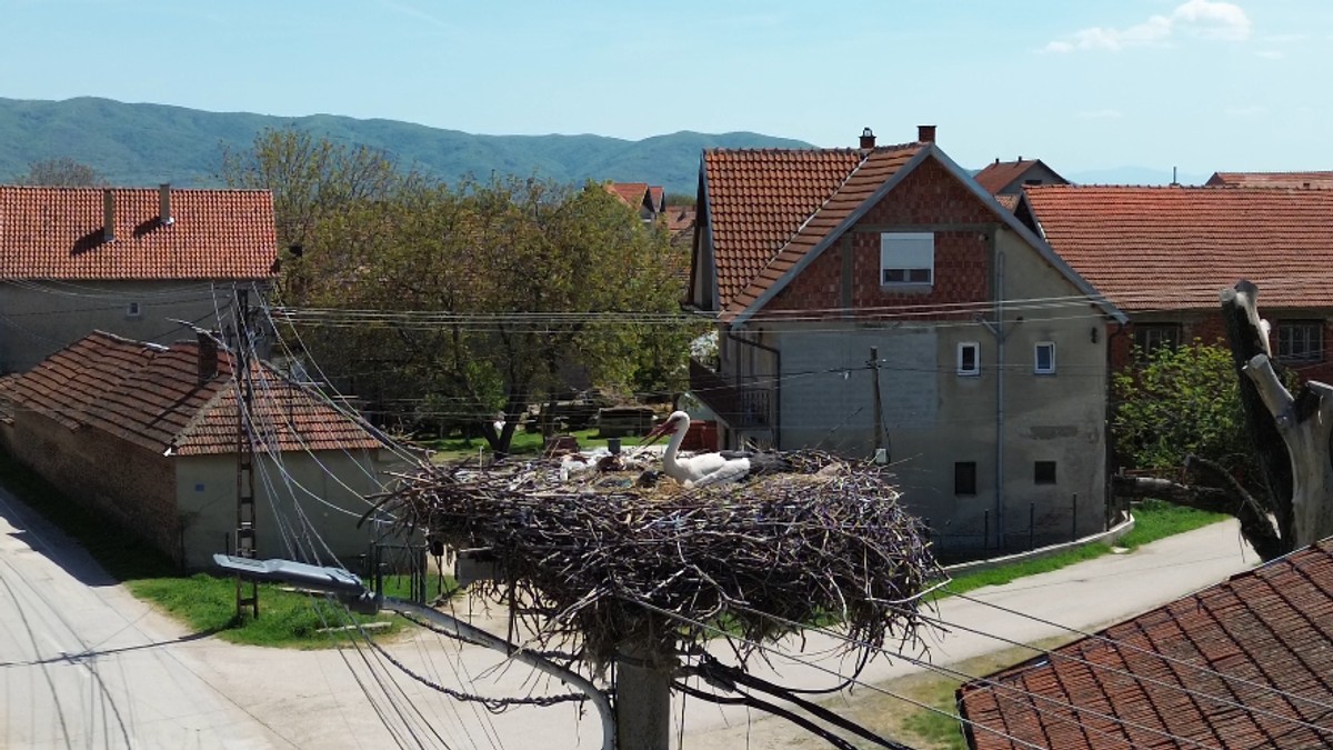 Rode u selu Donje Međurovo