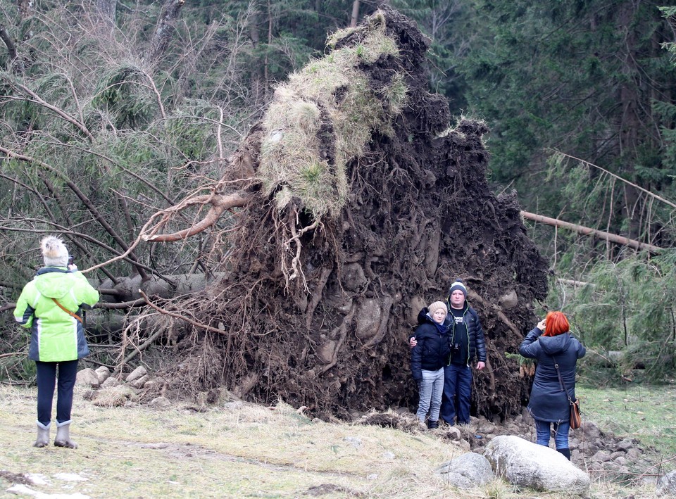 Powalone drzewa, zniszczone domy. Wielkie sprzątanie w Zakopanem