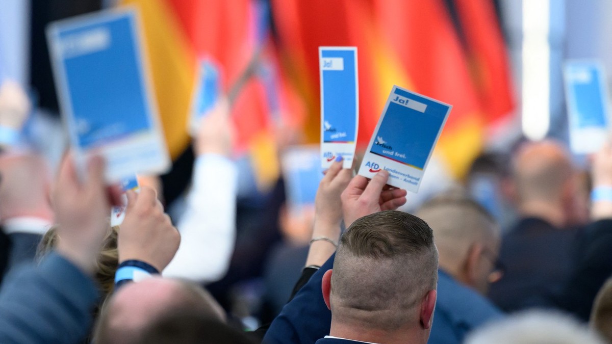 Delegati AfD na partijskoj konferenciji u Magdeburgu u Saksoniji-Anhalt 11. aprila
