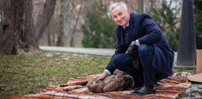 Afera w Brzegu. Bielik ściągnął czarne chmury nad głowę burmistrza. Wśród mieszkańców zawrzało