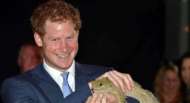 Prince Harry meets 100-yr-old Lizard called 'Harry' in New Zealand