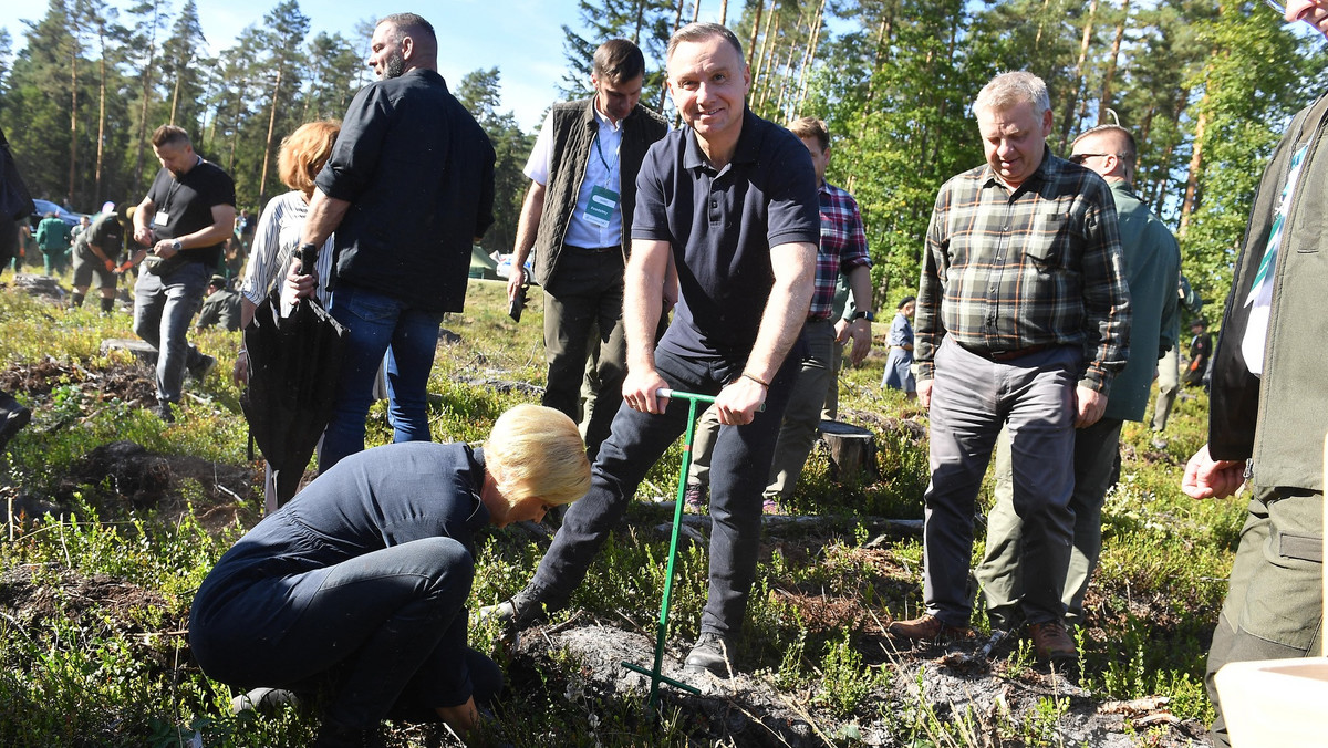 Andrzej Duda z żoną sadzili las. Na potrzeby uroczystości wycięto kilka drzew