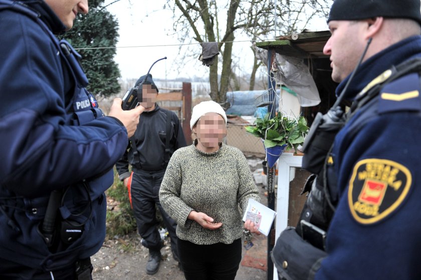 piekło zwierząt na Bałutach w Łodzi