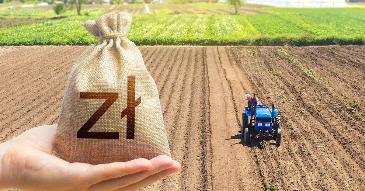 Ruszył nabór wniosków o dofinansowanie inwestycji rolnych. Ile można dostać?