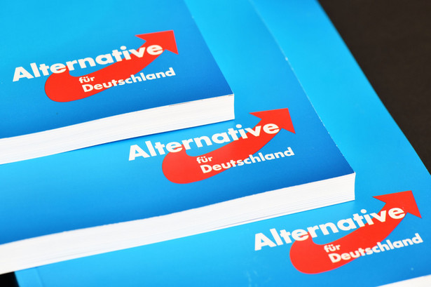 W 2023 roku liczba członków ugrupowania Alternatywa dla Niemiec (AfD) wzrosła o 37 procent względem roku poprzedniego