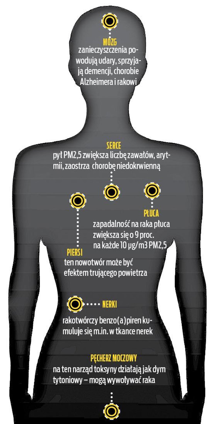 Na co szkodzi smog?