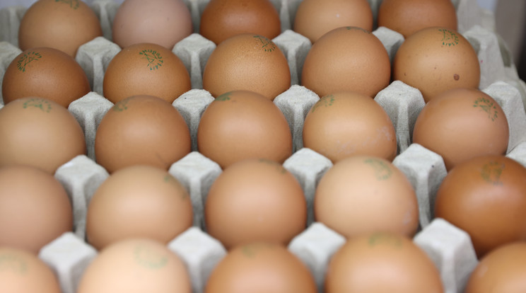 A liszt mellett a tojás is olcsóbb lett a boltokban. Most kiderült, miért / Fotó: Pozsonyi Zita