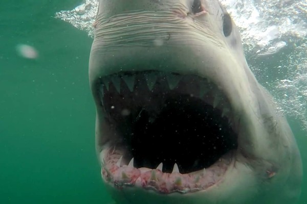 supermen pokrivalica