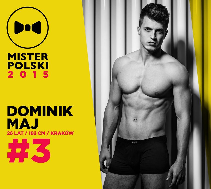 Mister Polski 2015