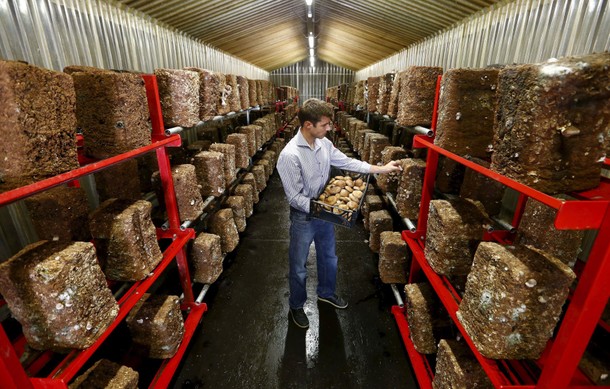 The Wider Image: A new life for Swiss army bunkers