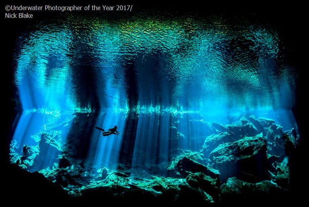 2017 Underwater Photographer of the Year