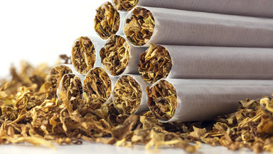 Policjanci przejęli 2,5 tony tytoniu w nielegalnej wytwórni w Gliwicach