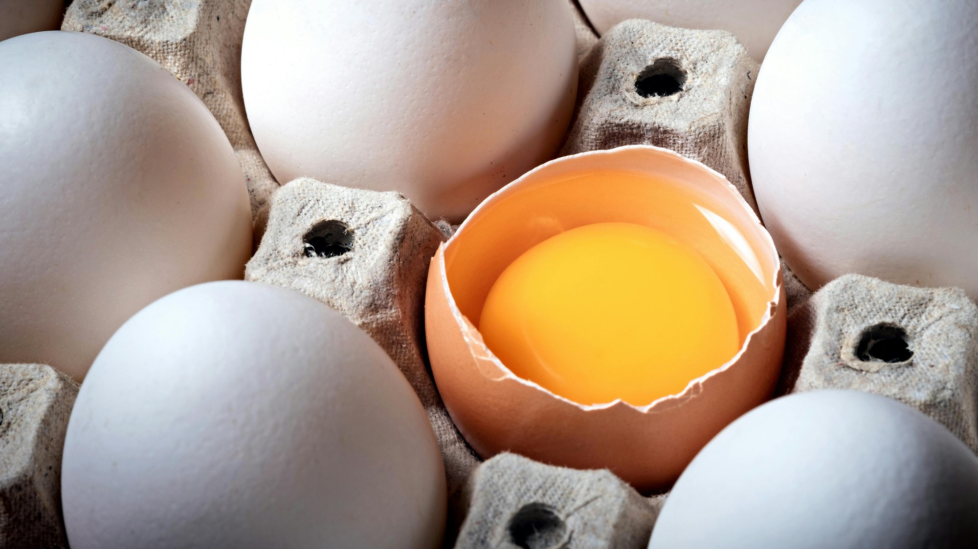 Vajíčka vydržia čerstvé niekoľko týždňov.