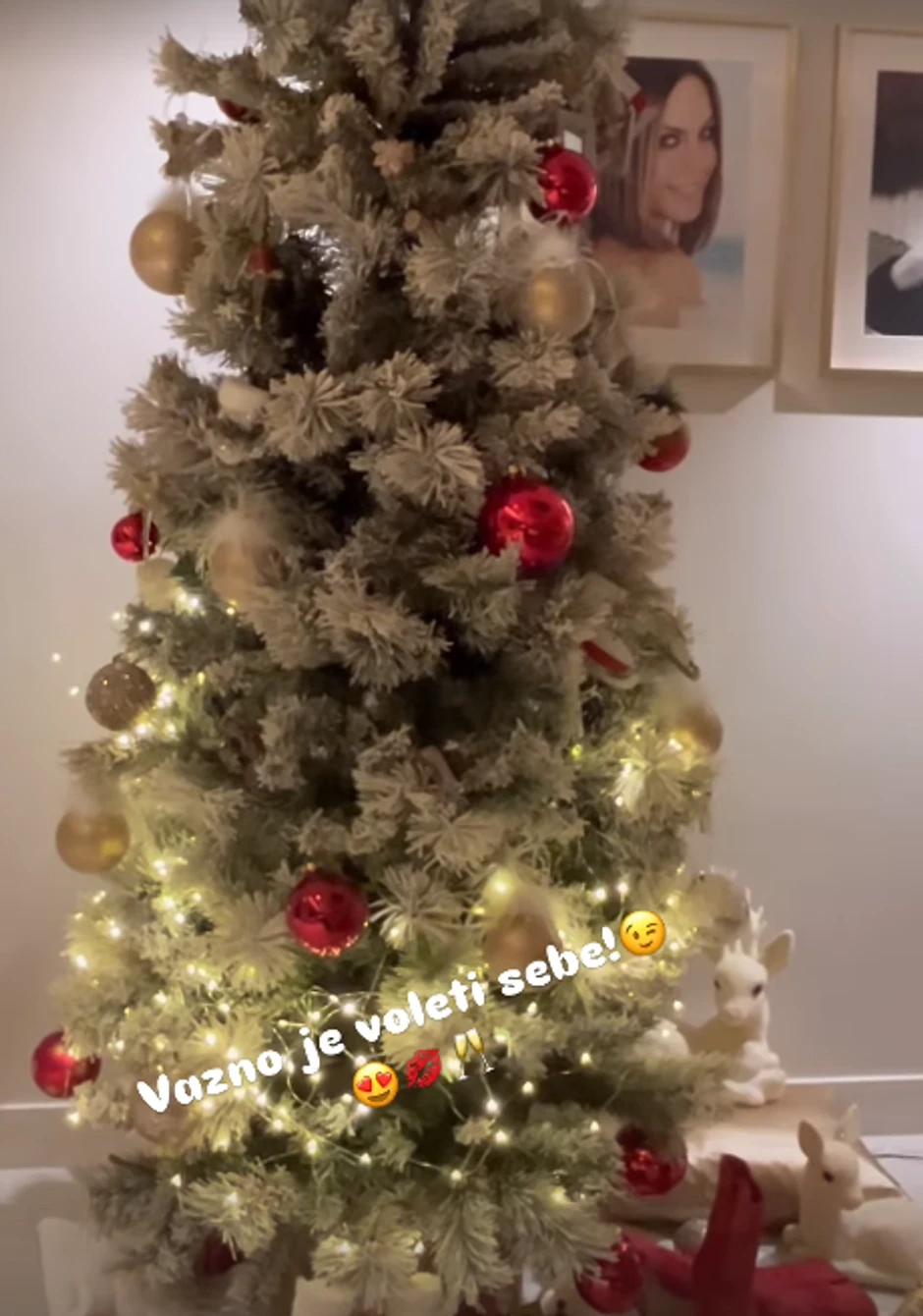 Ivana Panzalović, stan