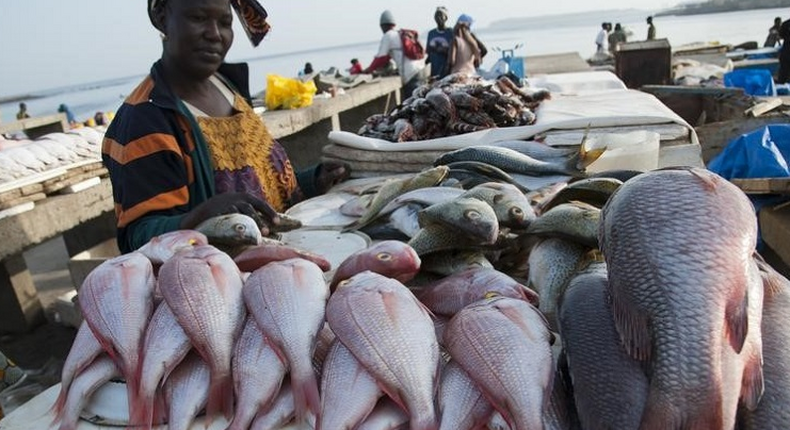 Les Sénégalais sont de grands consommateurs de poisson