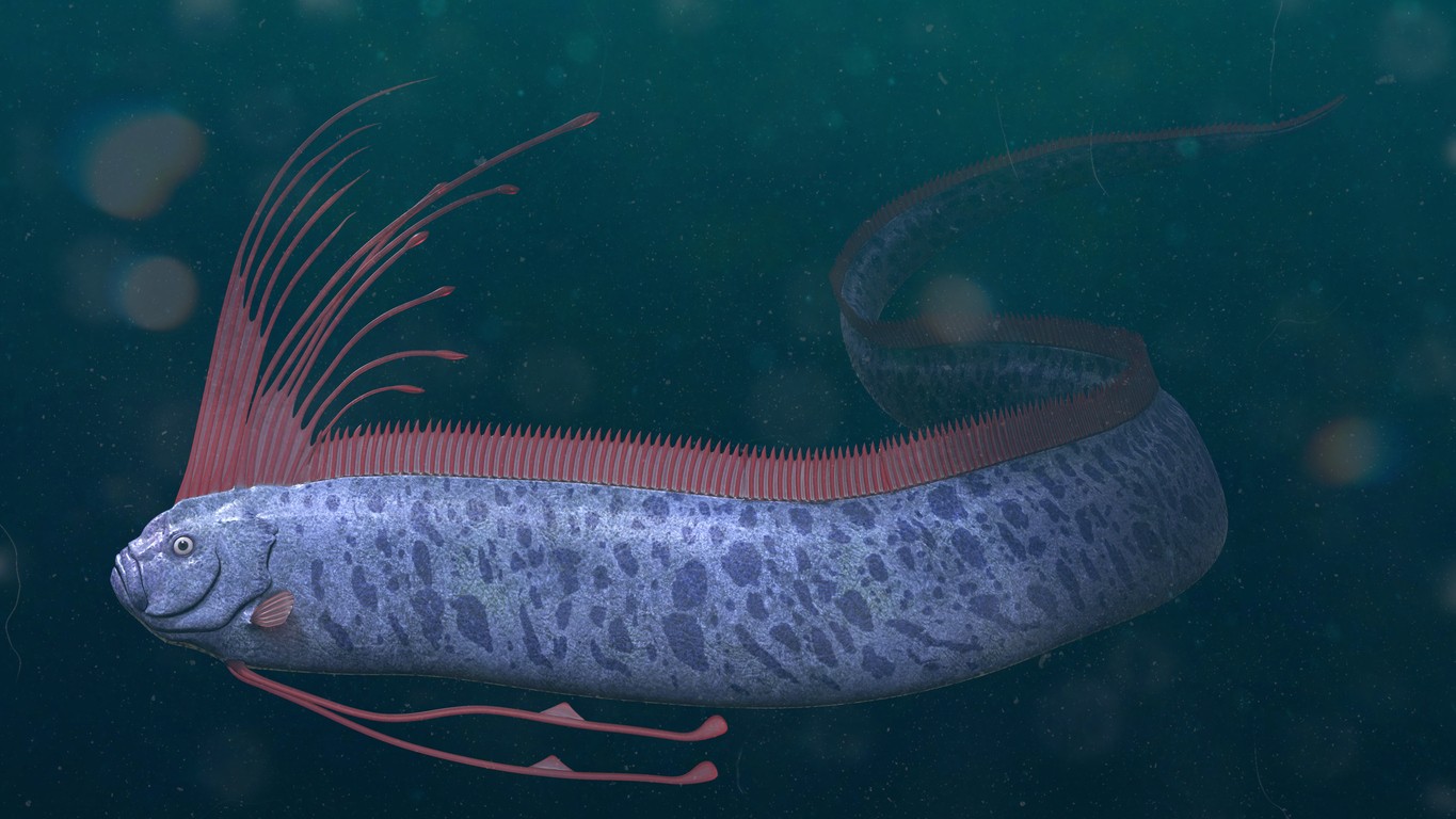 Zvyčajne žije v obrovských hĺbkach. (ilustračné foto)