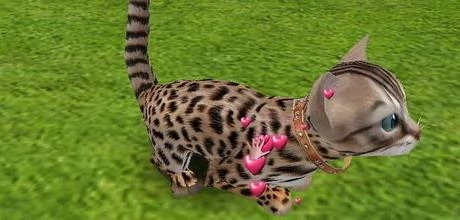 Screen z gry "Catz".