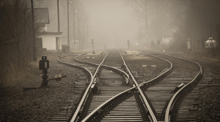 Gázolás miatt késnek a vonatok a pécsi vonalon /Illusztráció: Pexels