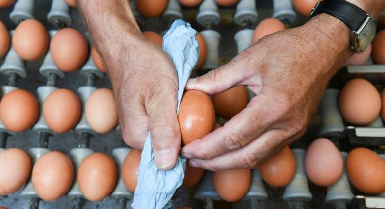 Millions of eggs have been pulled from supermarket shelves and dozens of poultry farms closed, with the European Commission due to hold a crisis meeting in September