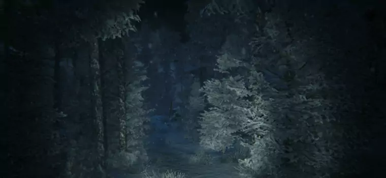 The Vanishing of Ethan Carter ma poważną konkurencję - graliśmy w Kholat