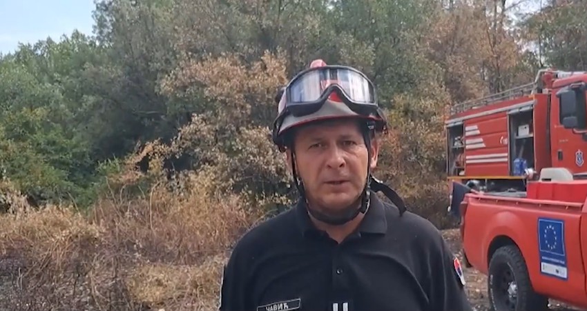 Željko Čavić 