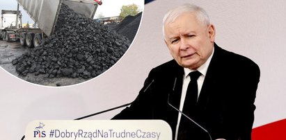 Jarosław Kaczyński obiecuje dużo tańszy węgiel. Tyle ma kosztować tona. Uwierzysz?!