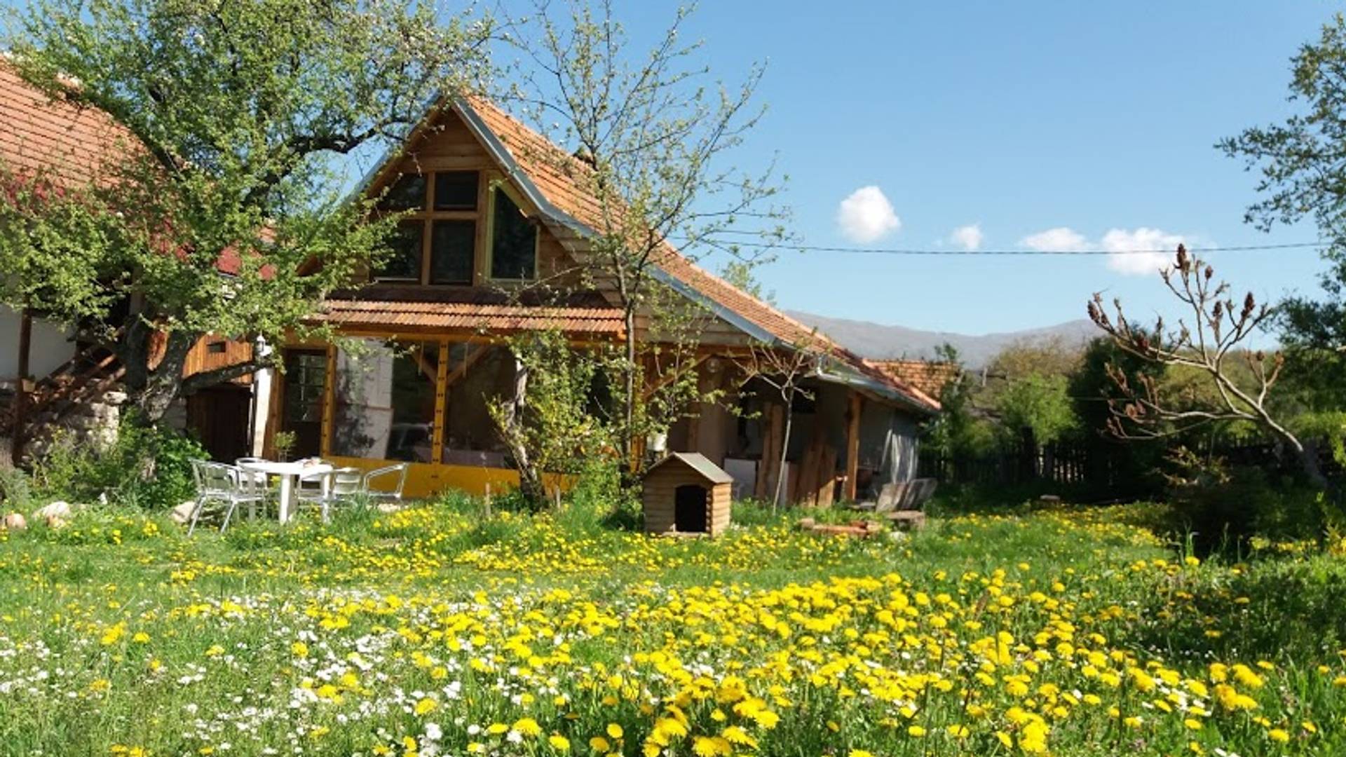 Mladi i odlazak na selo: Priča troje Beograđana o prednostima, izazovima i lepoti života u ruralnoj sredini