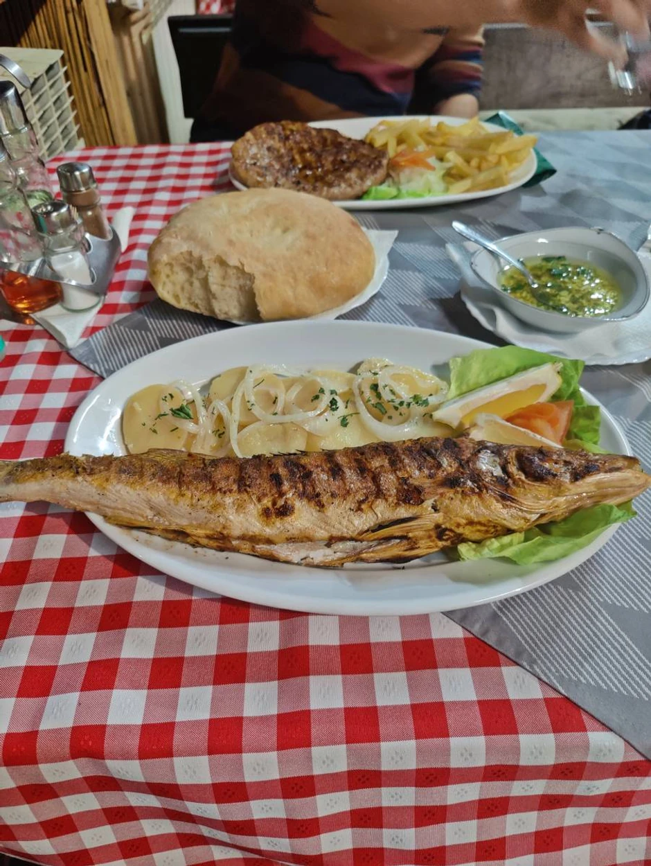 Pored vožnje brodićem, Jovan voli turistima da predloži da probaju smuđa i šarana u lokalnim kafanama