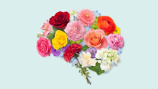 Egy magyar pszichológus 4 módszere, amivel évek óta képes visszaszerezni a mentális energiáját