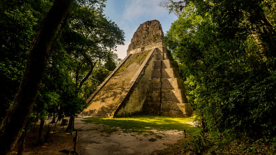 Piramida Majów i świątynia w parku narodowym Tikal w Gwatemali