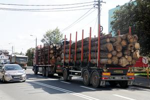 Przyczyny i skutki skoków cen drewna budowlanego