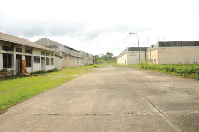 Tarkwa Bonsa Factory