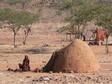 Galeria Namibia - z wizytą u ludu Himba, obrazek 3