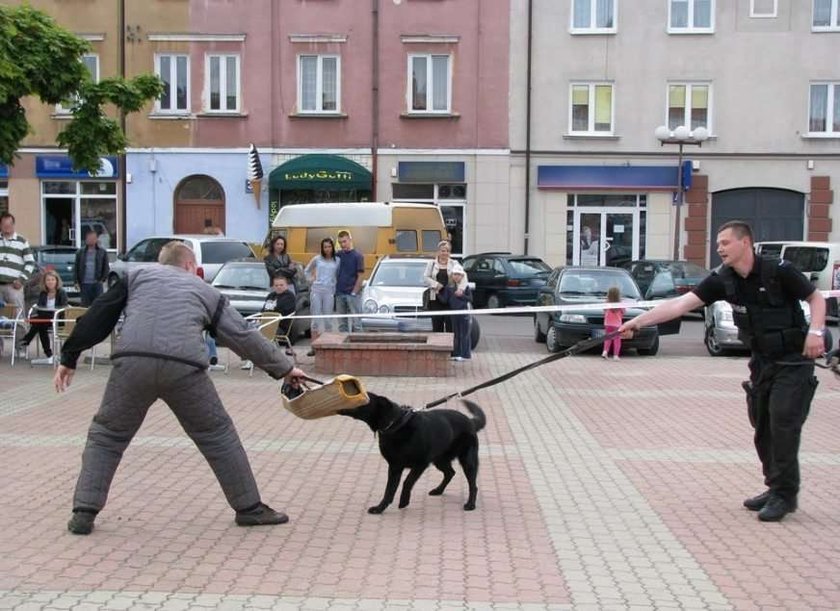 Pies do obywatela: dokumenciki do kontroli!