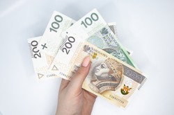 Przedsiębiorco! Rozliczasz się ryczałtem? Rząd ustalił wysokość dochodu za 2024 rok. Jak to wpłynie na Twoje świadczenia?