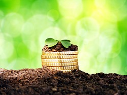 Jutro zapadnie decyzja w sprawie siedziby funduszu klimatycznego