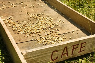 Gospodarczy przegląd prasy Forsal.pl - 23.08.2013