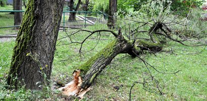 Ostrzeżenie: silne wichury nad Małopolską