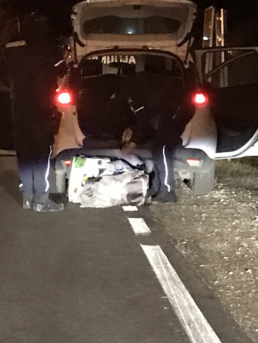 Hapšenje Velje Nevolje i njegove ekipe