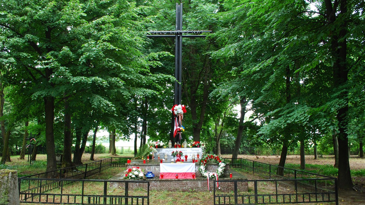 Uważam, że bardziej zgodny z prawdą historyczną i oczekiwaniami rodzin ofiar ludobójstwa jest projekt złożony przez klub poselski Kukiz'15, który mówi o ustanowieniu w dniu 11 lipca Narodowego Dnia Pamięci Ofiar Ludobójstwa dokonanego przez OUN — UPA na obywatelach polskich na Kresach Wschodnich II Rzeczypospolitej Polskiej.