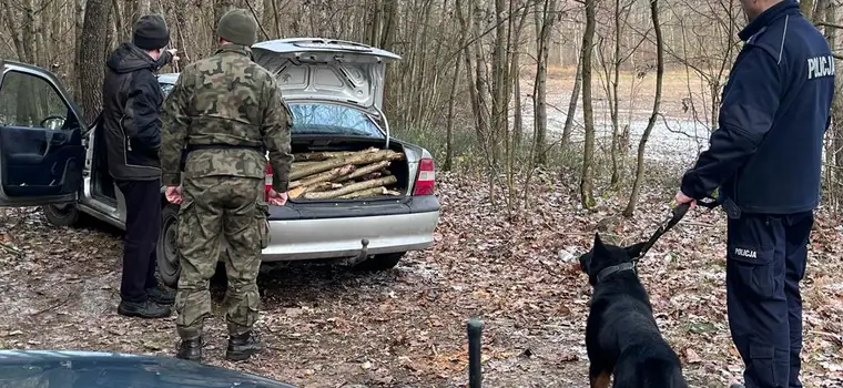 Policja i straż zauważyły w lesie auto z otwartym bagażnikiem. Kierowca nie miał żadnej wymówki