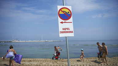 Sinice znów utrudniają wakacje nad Bałtykiem."Wielki czarny szlam i smród". Zamknięto 17 plaż