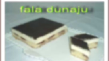 FALA DUNAJU