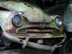 Prawdziwe czy wygenerowane komputerowo? Zobacz niezwykłe fotografie dzikiej przyrody