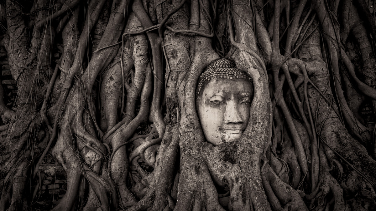 2 - Shortlist - Mathew Browne - Wat Mahathat, Ayutthaya, Thailand