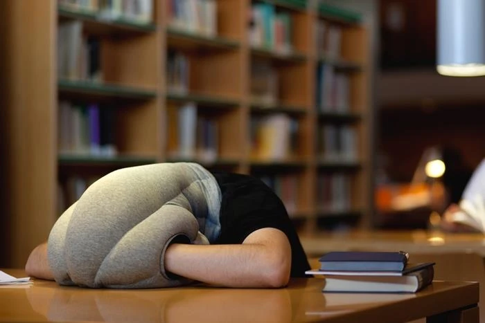 The Ostrich Pillow